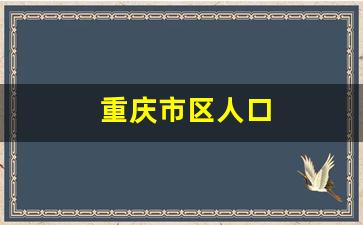 重庆市区人口