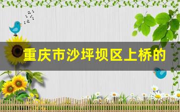 重庆市沙坪坝区上桥的邮编