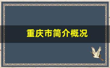 重庆市简介概况