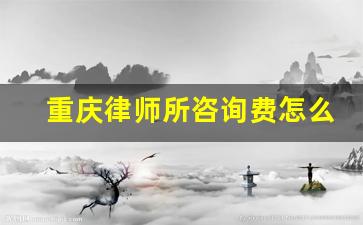 重庆律师所咨询费怎么收费_重庆市律师收费办法