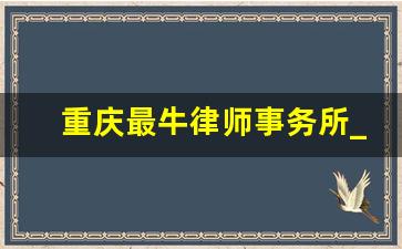 重庆最牛律师事务所_重庆安高律师事务所