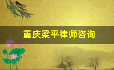 重庆梁平律师咨询