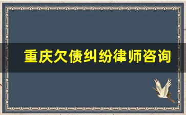 重庆欠债纠纷律师咨询