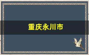 重庆永川市