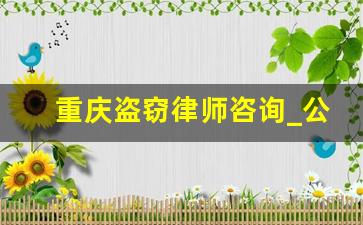 重庆盗窃律师咨询_公益律师咨询