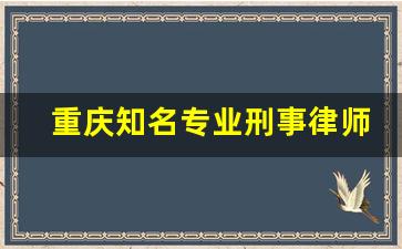 重庆知名专业刑事律师_深圳刑事律师