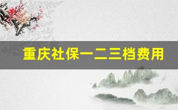 重庆社保一二三档费用_2023重庆居民养老档次