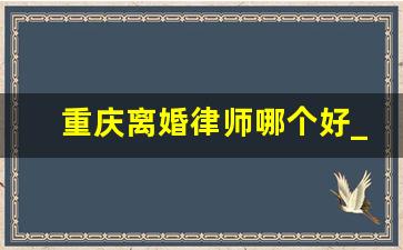 重庆离婚律师哪个好_重庆律师事务所