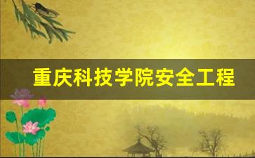 重庆科技学院安全工程专业薪资待遇_重庆科技学院万玺