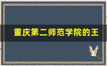 重庆第二师范学院的王牌专业