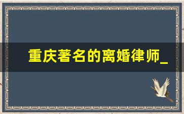 重庆著名的离婚律师_离婚律师咨询免费