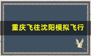 重庆飞往沈阳模拟飞行