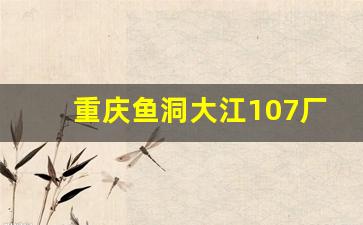 重庆鱼洞大江107厂叫什么_大江工业军品公司