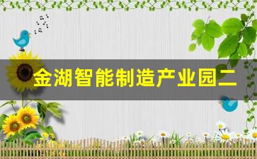 金湖智能制造产业园二期项目_金湖航空航天产业园