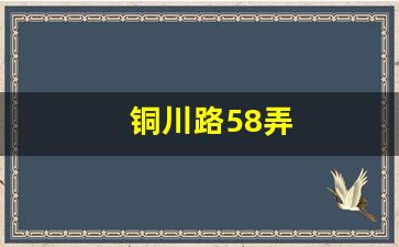 铜川路58弄