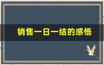 销售一日一结的感悟