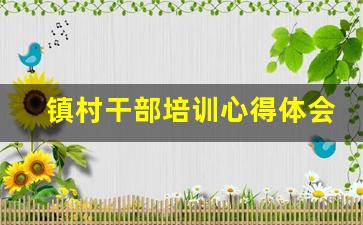 镇村干部培训心得体会