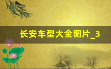 长安车型大全图片_3万一4万新车