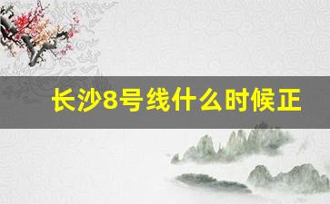 长沙8号线什么时候正式运营_长沙地铁8号线一期工程规划