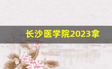 长沙医学院2023拿硕士点_长沙学院2023年能申硕成功吗