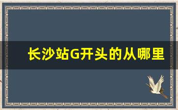 长沙站G开头的从哪里进站_长沙D开头的火车在哪坐