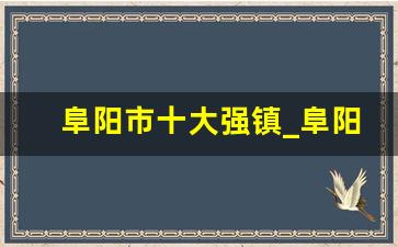 阜阳市十大强镇_阜阳最富十个镇排行榜