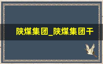 陕煤集团_陕煤集团干部任职公示