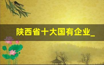 陕西省十大国有企业_陕西省国有企业领导年薪