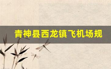 青神县西龙镇飞机场规划_飞机场拆迁18个村