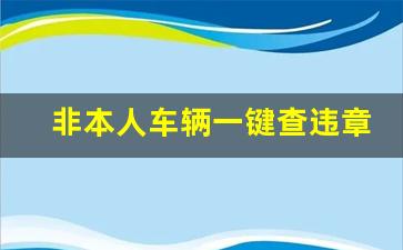 非本人车辆一键查违章