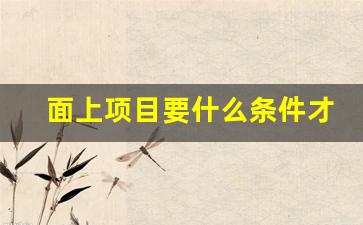 面上项目要什么条件才能上_2023深圳市面上项目申报