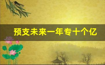 预支未来一年专十个亿电视剧_年假能否预支下一年的