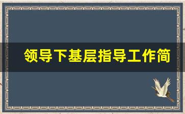 领导下基层指导工作简报_村干部为群众办实事好事简报