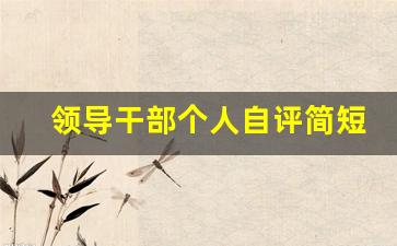 领导干部个人自评简短材料_干部政治素质个人自评材料