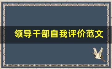 领导干部自我评价范文_领导干部自我评价表