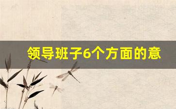 领导班子6个方面的意见_每名班子成员优点和不足