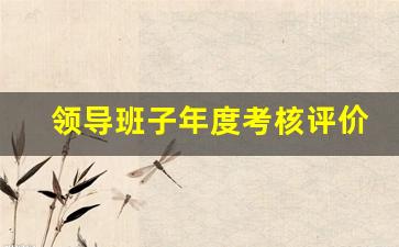 领导班子年度考核评价_年度考核党委评价