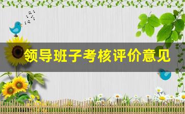 领导班子考核评价意见_领导班子平时考核评价表