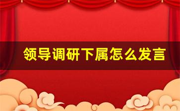 领导调研下属怎么发言_领导调研职工提点什么建议好