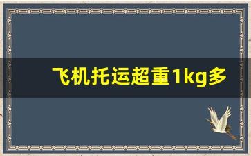 飞机托运超重1kg多少钱