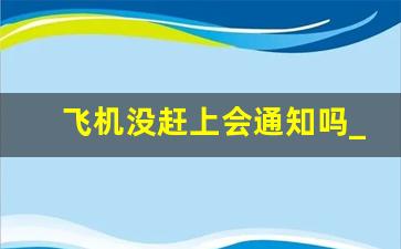 飞机没赶上会通知吗_飞机故障会打电话通知吗