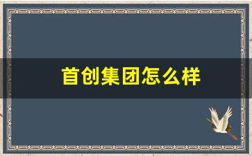 首创集团怎么样