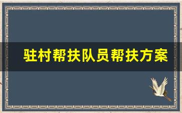 驻村帮扶队员帮扶方案_驻村工作队工作方案