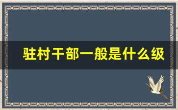 驻村干部一般是什么级别