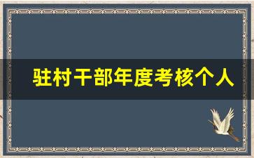 驻村干部年度考核个人总结