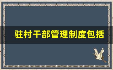 驻村干部管理制度包括哪些_驻村工作队员管理制度