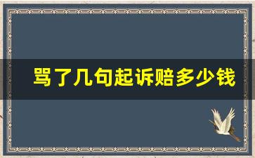 骂了几句起诉赔多少钱_打人一巴掌赔偿10万元技巧