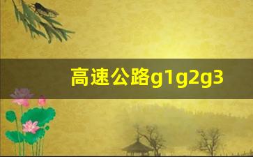 高速公路g1g2g3g4g5g6g7图_全国高速公路超清地图可放大