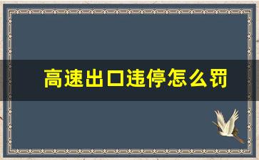 高速出口违停怎么罚