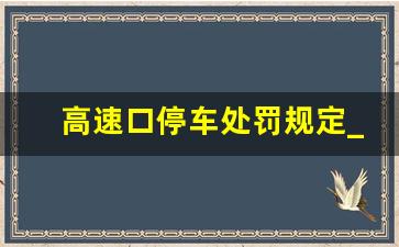 高速口停车处罚规定_高速收费站停车处罚吗